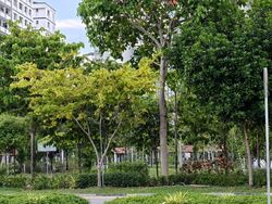Blk 491H Tampines Street 45 (Tampines), HDB 5 Rooms #566580381